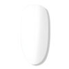 Blank-Canvas-SS2113