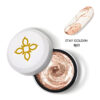 Metallic Gel Paint BJ02